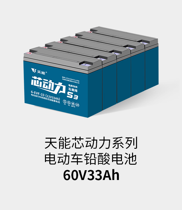 九游会J9(china)官方网站电池60v33ah