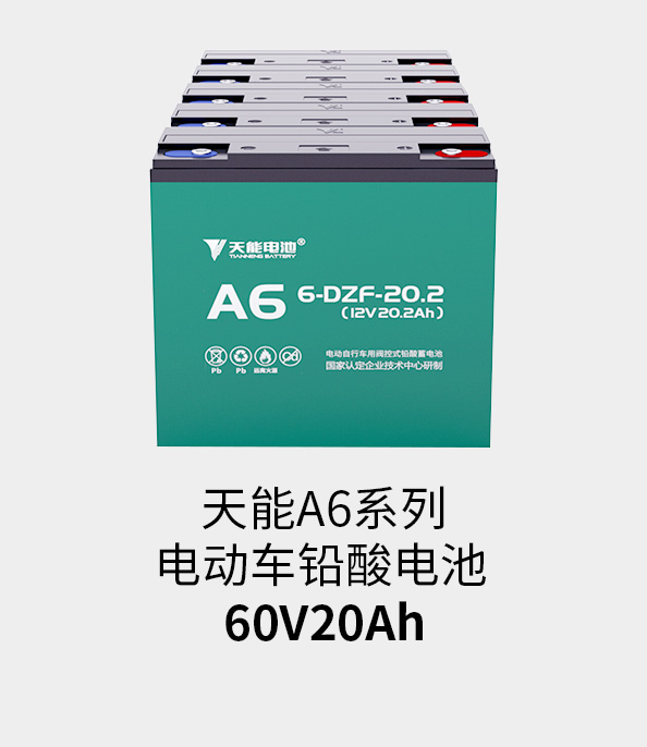 九游会J9(china)官方网站电池60v20ah